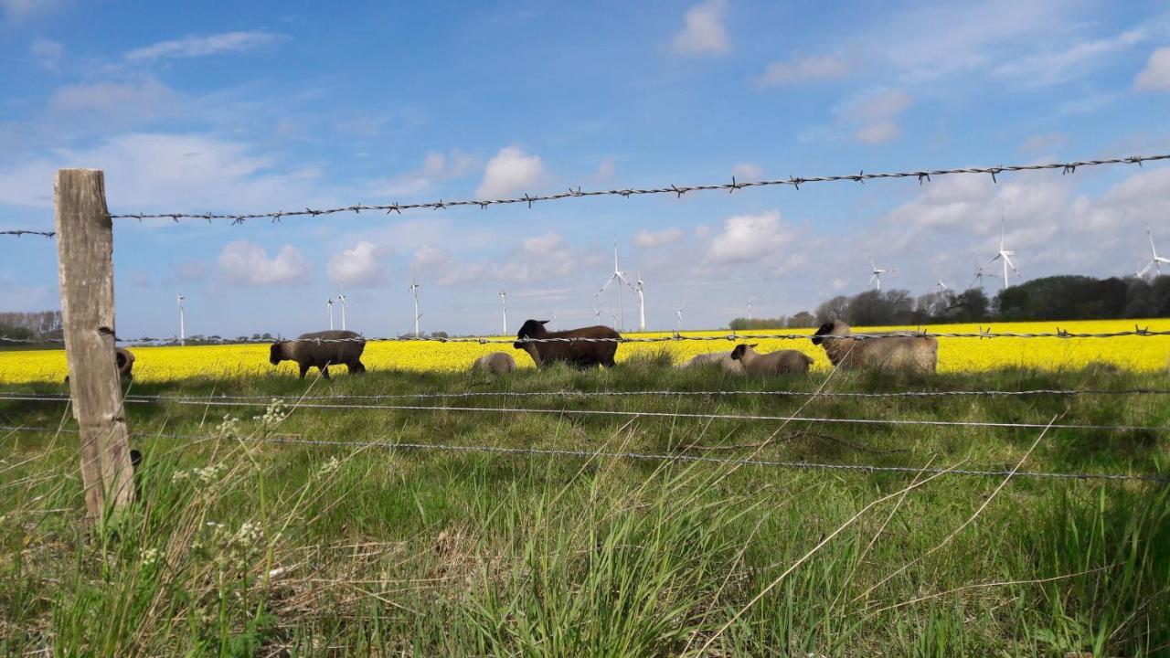 Ferienwohnung Wattkieker Büsum Eksteriør bilde